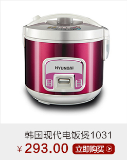 韩国现代便携美容熨烫机HYGT-7101